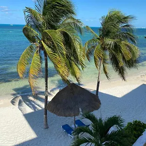 tropical-apartment.quintano-roohotels.com/